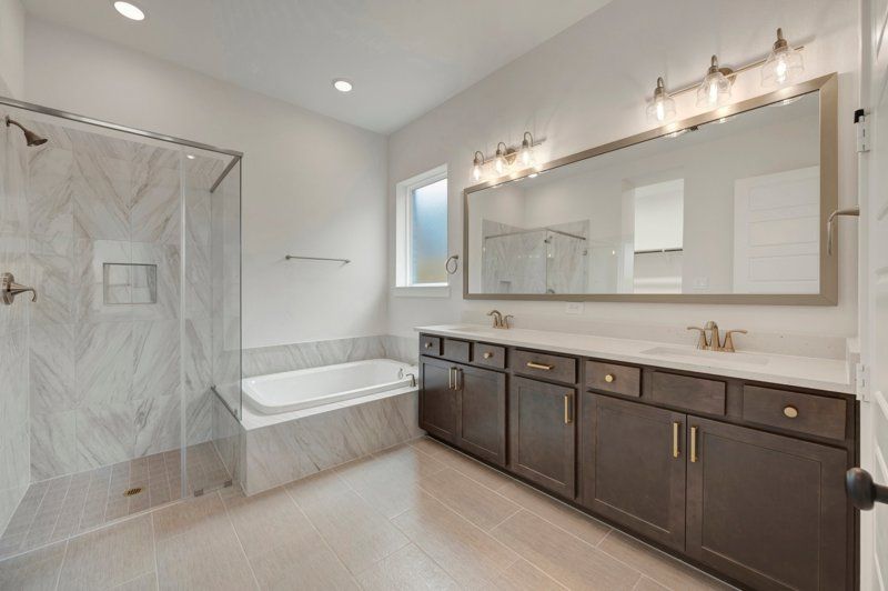 Owner's Bath