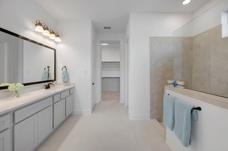 Owner's Bath