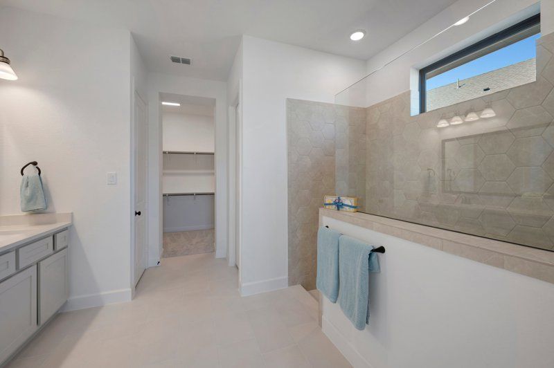 Owner's Bath