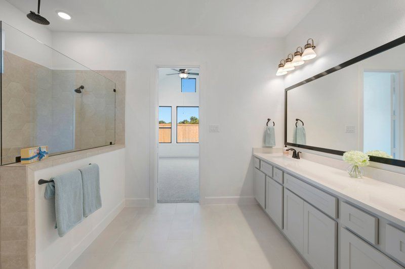 Owner's Bath