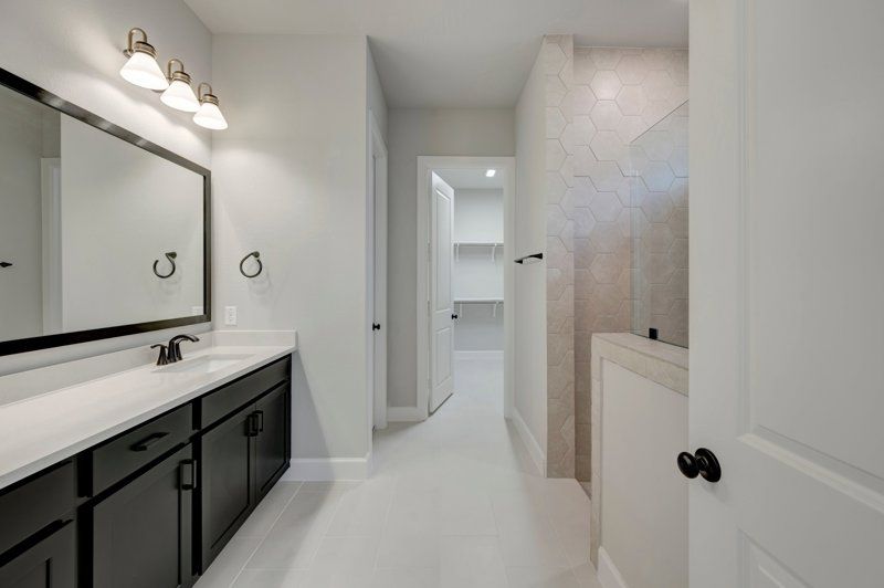 Owner's Bath