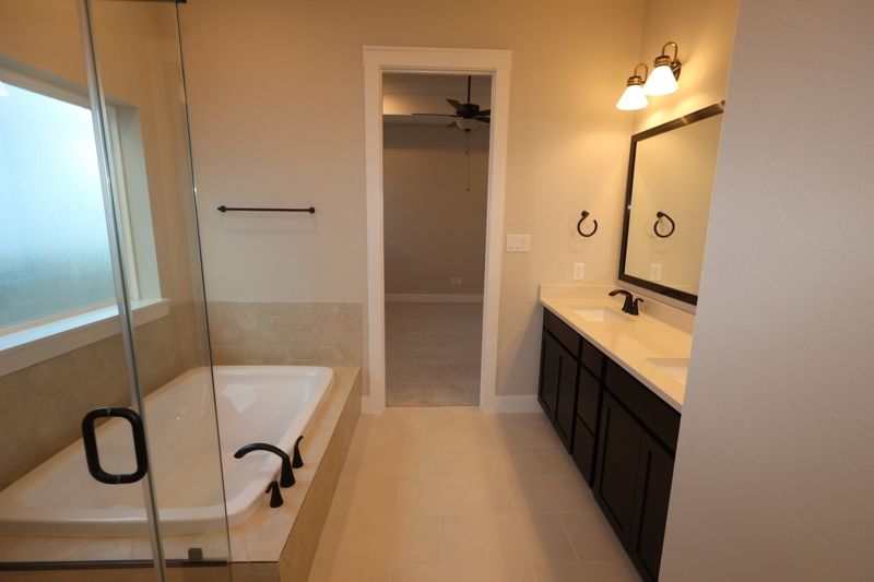 Owner's Bath
