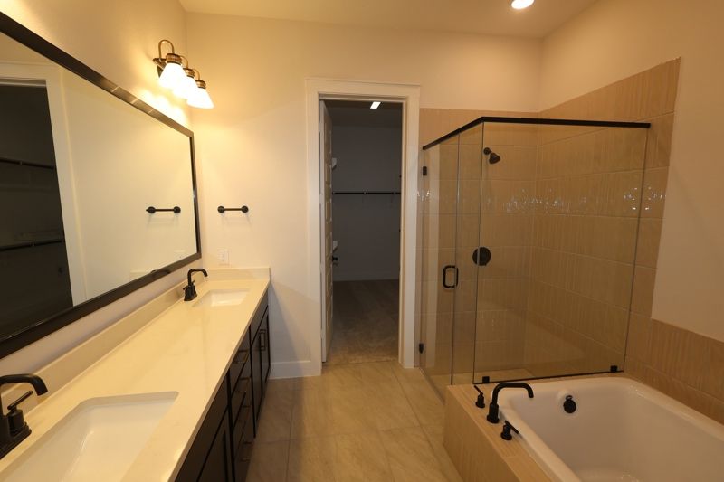 Owner's Bath