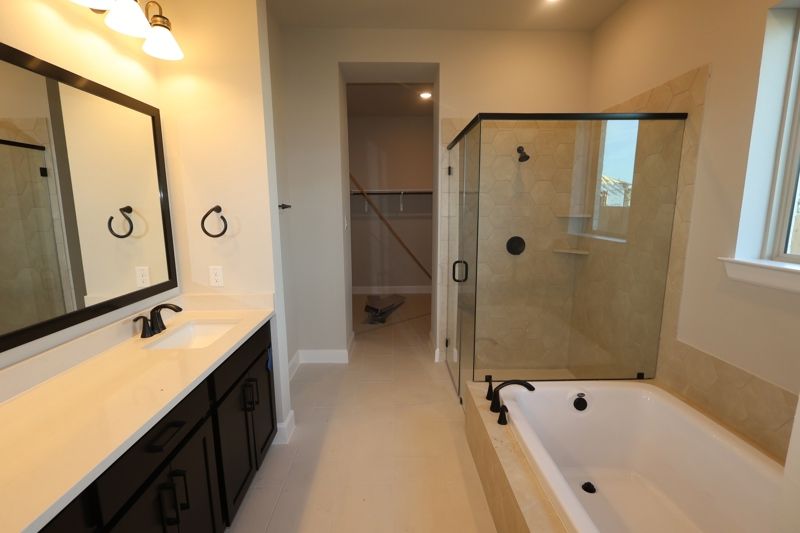 Owner's Bath