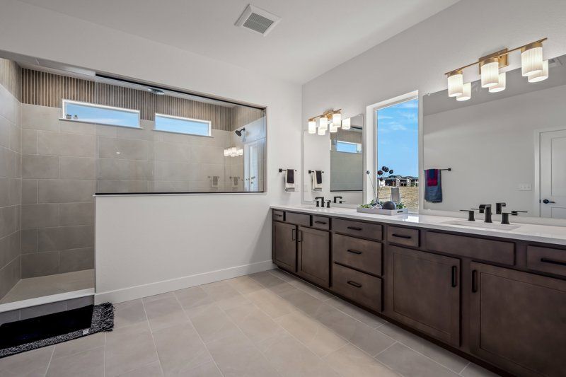 Owner's Bath