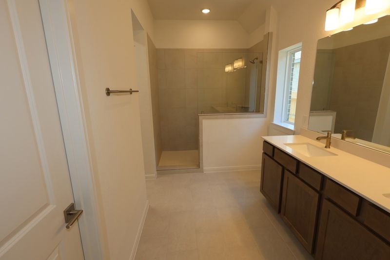 Owner's Bath