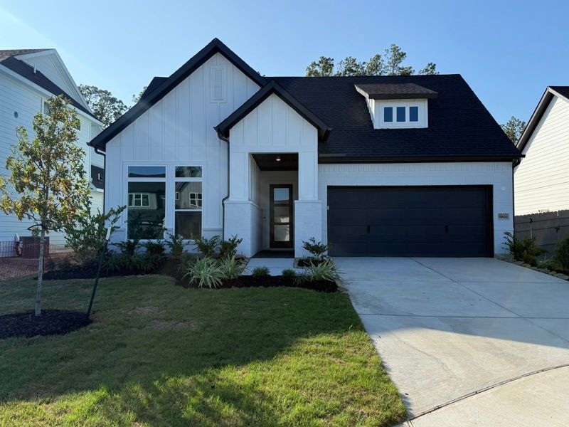 Azalea - ARTAVIA - Enclave Collection: Conroe, Texas - David Weekley Homes