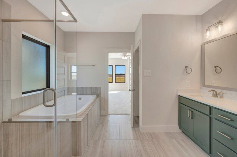 Owner's Bath