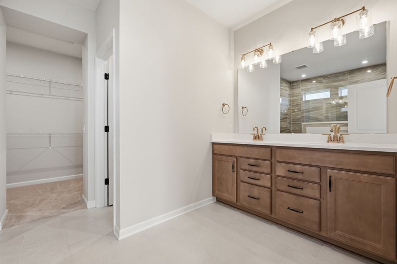 Owner's Bath