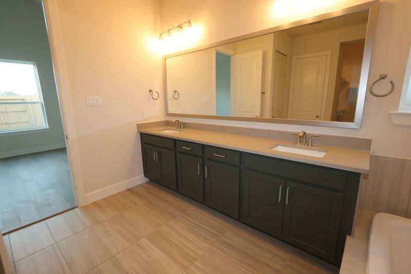 Owner's Bath