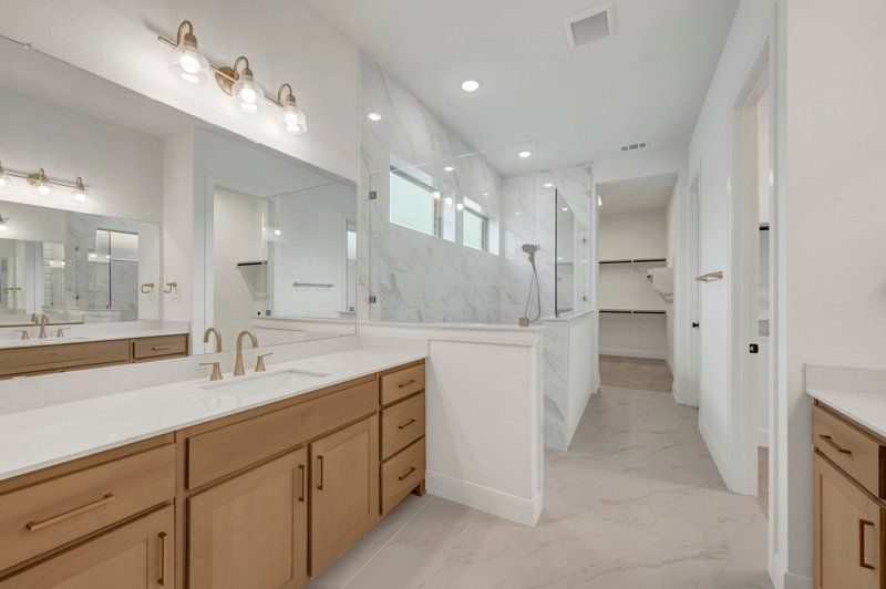 Owner's Bath