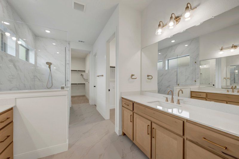 Owner's Bath