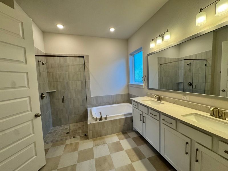 Owner's Bath