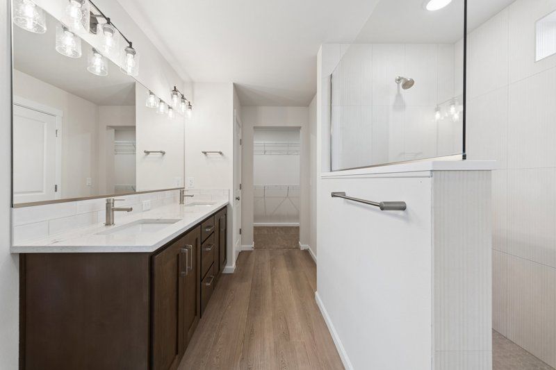 Owner's Bath