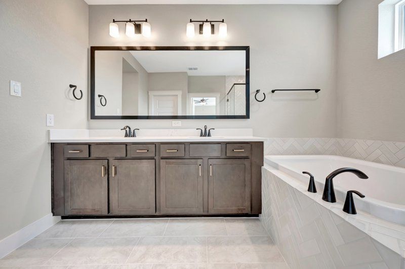 Owner's Bath