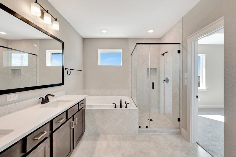 Owner's Bath