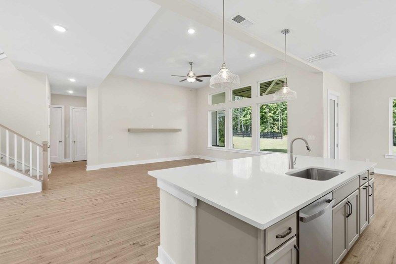 The Castlegrove - Kitchen