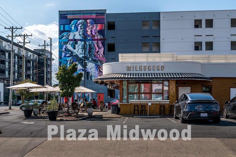 Plaza Midwood