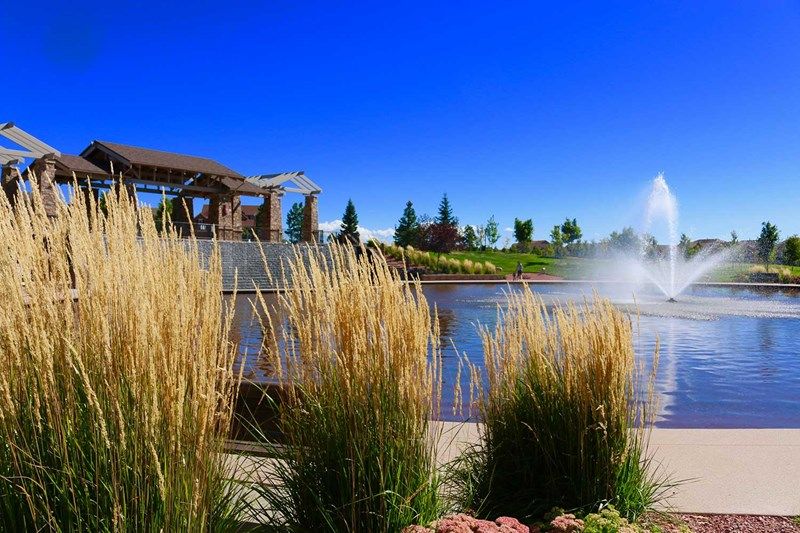Wolf Ranch - Park