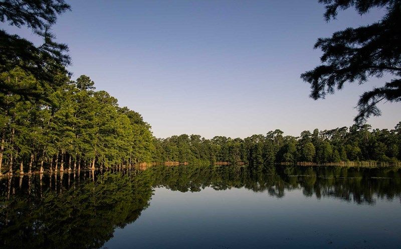 Grand Central Park  - Lake