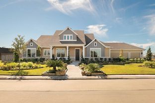 Braum - Lakeview: Waller, Texas - David Weekley Homes