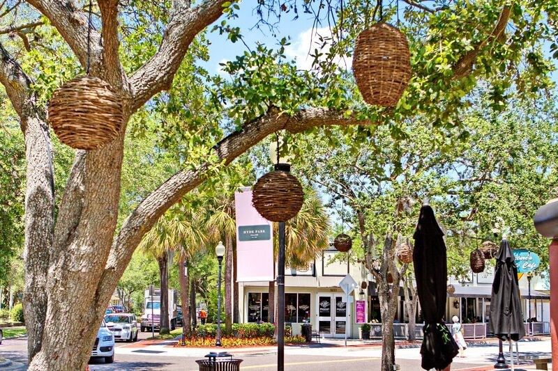 South Tampa - Central Living