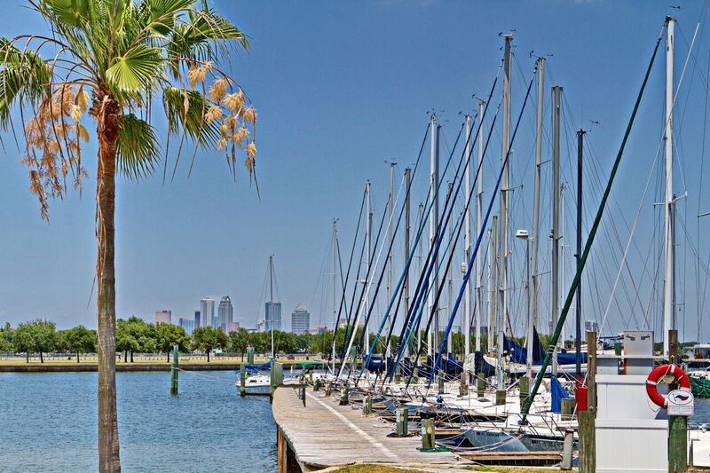South Tampa - Central Living