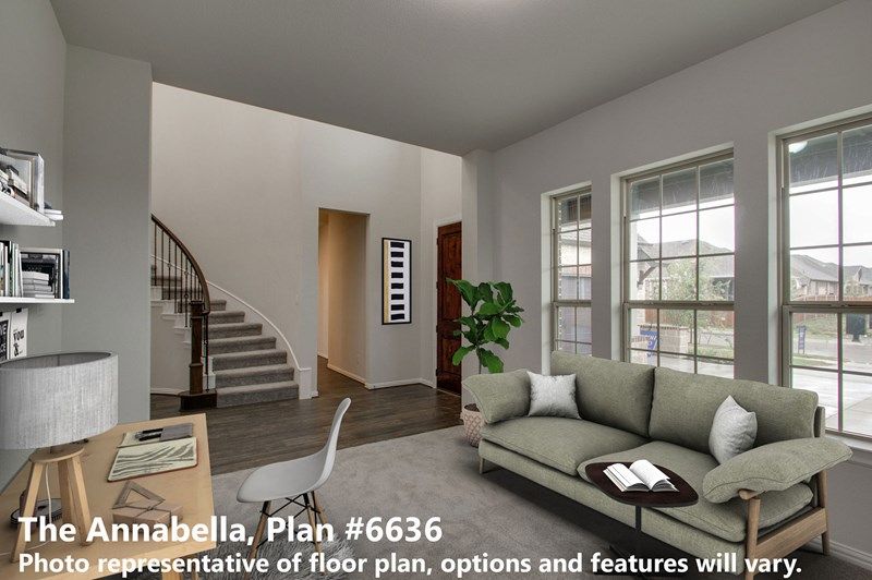 The Annabella - Study