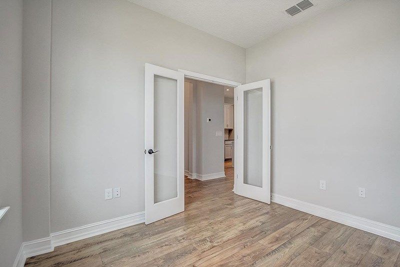 The Bluefish - Study