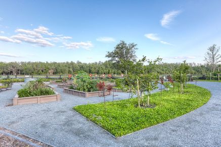 Laureate Park at Lake Nona - Community Garden