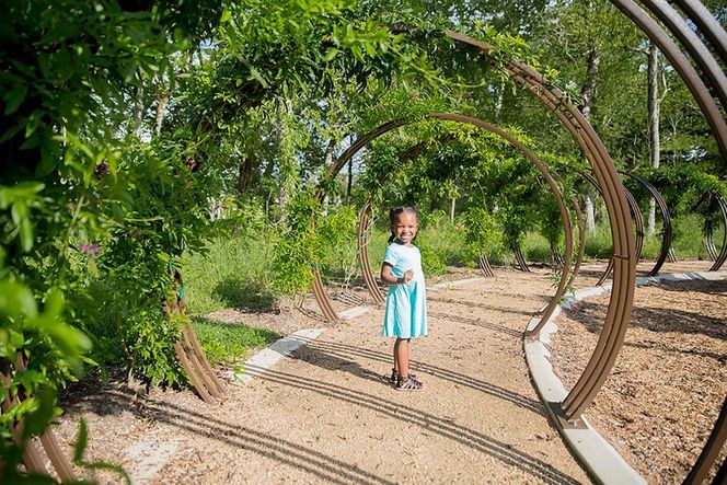 Sienna - Rosewood Park