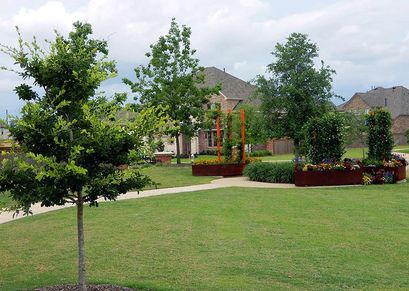 Sienna - Pocket Park