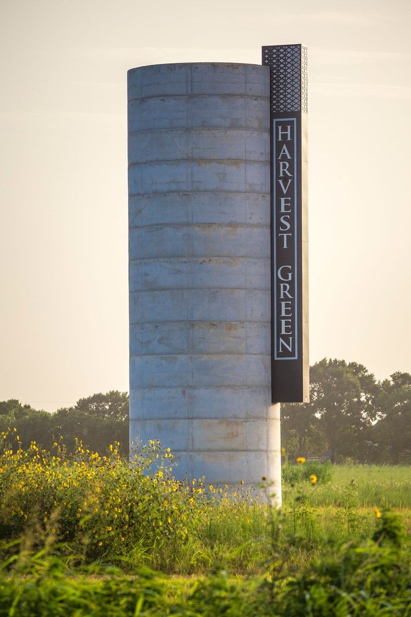 Harvest Green