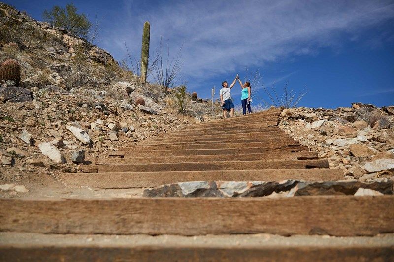 Victory at Verrado - Trail