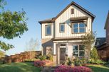 Home in Walsh Cottage by David Weekley Homes