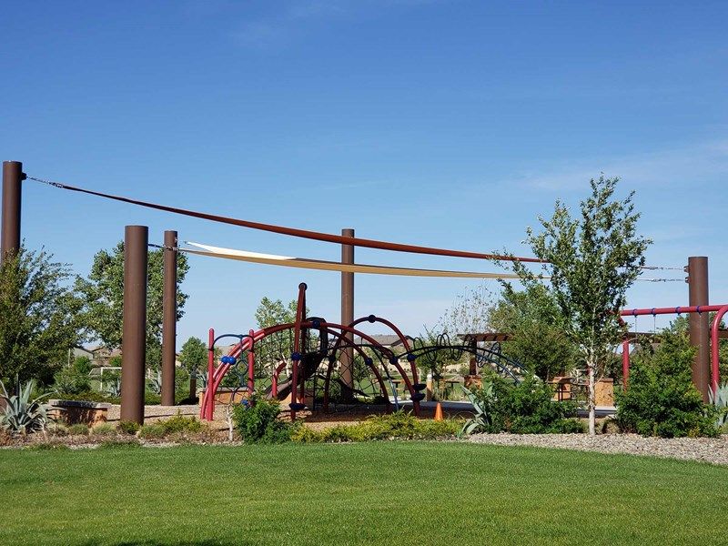 43663357-200510.jpg