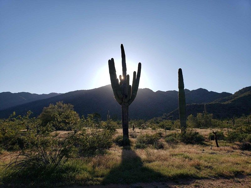 Windrose - Surrounding Area