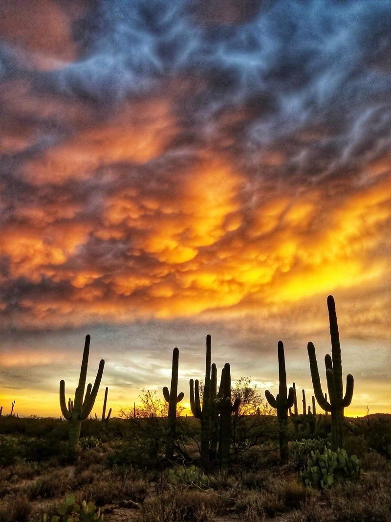 Windrose - Surrounding Area