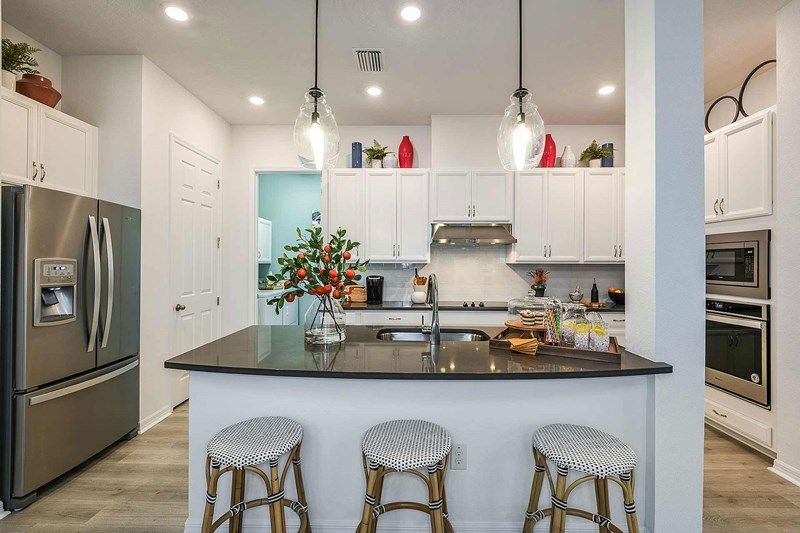 The Redwing in Persimmon Park