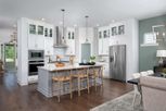 Home in Point Hope - Village Collection by David Weekley Homes