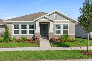 Malone - Persimmon Park - Cottage Series: Wesley Chapel, Florida - David Weekley Homes