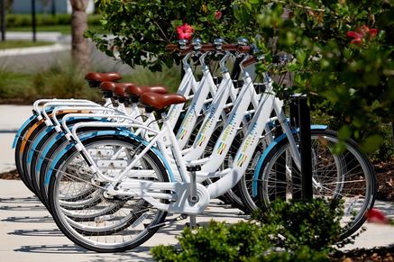 North River Ranch Amenities