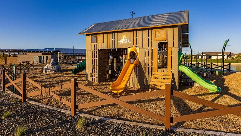 Harvest - Playground