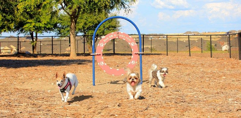 Sunfield - Dog Park