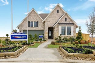 Edgehill - Riceland 50’ Front Load Homesites: Mont Belvieu, Texas - David Weekley Homes