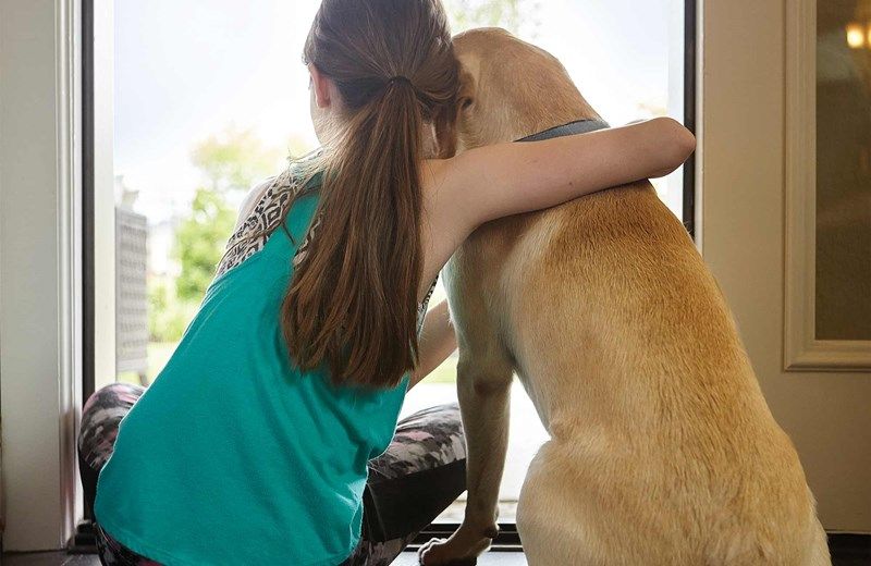 Serenity in Fuquay-Varina