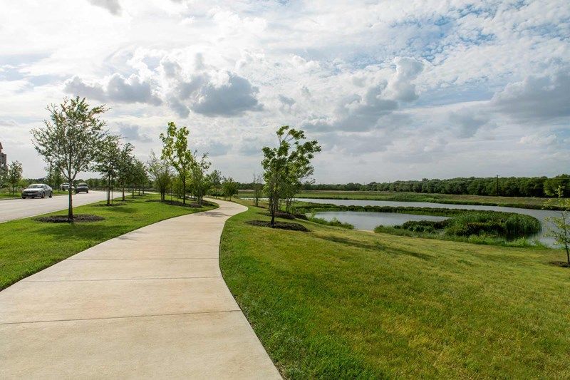 Walking Trail/Onion Creek Park