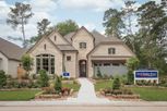 Home in Meridiana 55' Homesites by David Weekley Homes