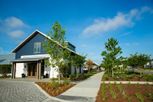 Nexton – Midtown – The Garden Collection - Summerville, SC