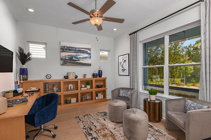 The Georgette - Study